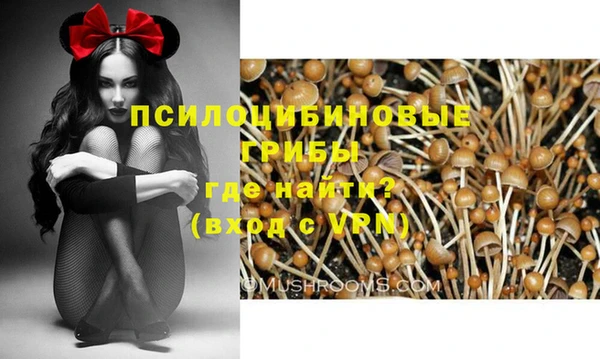 гашик Магас