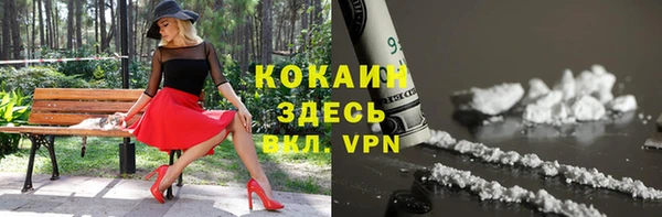 гашик Магас