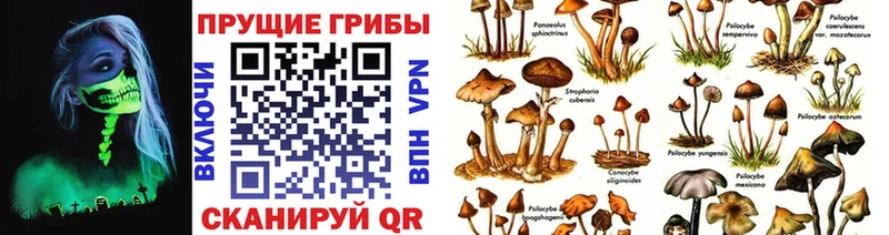 Псилоцибиновые грибы ЛСД  Купить где  Югорск 